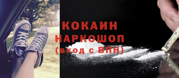 прущие грибы Армянск