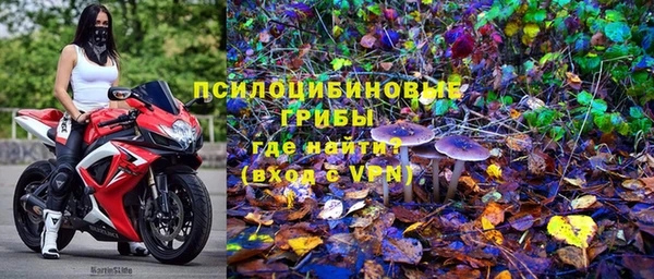 индика Балахна