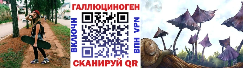 Купить где  Харабали  Псилоцибиновые грибы GOLDEN TEACHER 